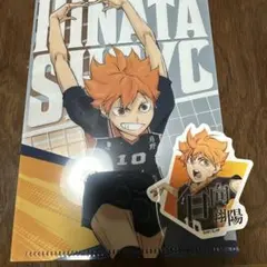 ハイキュー ダイカットステッカー ミニクリアファイルガム 日向翔陽