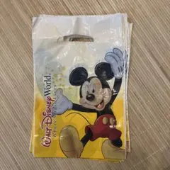 ディズニーワールド　フロリダ　お土産袋　10枚