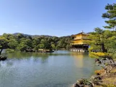 【たかぼー様専用】9月10日テキスト出品