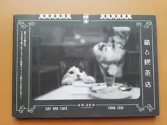 「猫と喫茶店」 関 由香