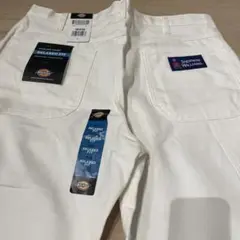 タグ付新品未使用✨DICKIES 36×30 Sherwin Williams