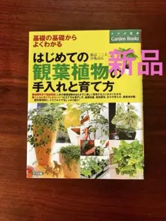 Item thumbnail for item 0a0f2958-c5eb-4a3b-86e5-7665edb173a9