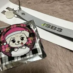 岩田剛典 刺繍缶バッジ マルチストラップセット
