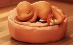 ポケモン ヒトカゲ フィギュア LANGBOWANG 中国限定 未使用 正規品