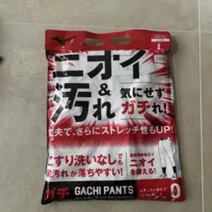 MIZUNO GACHI PANTS レギュラータイプ Lサイズ　ストッキングのサムネイル