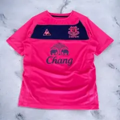 【美品】10/11 エヴァートン FC ユニフォーム アウェイ ルコック M