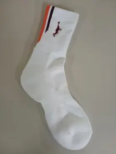 インザペイントバスケソックスメンズ選べる2足セット25～28cm正規品