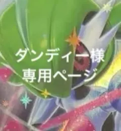 ダンディー様　専用ページ　まとめ売りのサムネイル