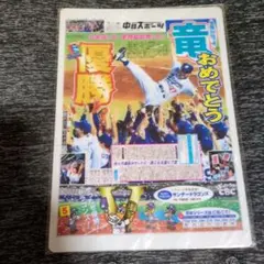中日ドラゴンズ 1999年 チャンピオン記念新聞