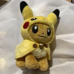 2026年最新】ポンチョ ピカチュウ ぬいぐるみの人気アイテム - メルカリ