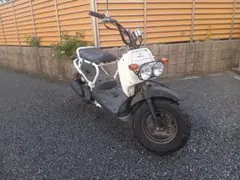 HONDA ホンダ ズーマー バイク 福岡 佐賀 大分 熊本