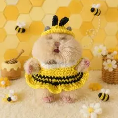 はむにぎり　ハチさんワンピースと帽子のサムネイル