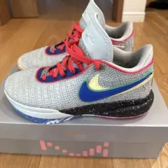 NIKE レブロン20 バッシュ　28.5センチ NIKE Nike バッシュ シューズ ナイキ レブロン ジェームスLebron