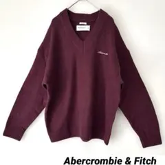 アバクロンビー&フィッチ S Ｖネックセーター ニット メンズのサムネイル