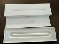 Apple Pencil (USB-C) A3085