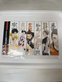 ハイキュー!!展 FINAL 大判ポストカード アウトサイドヒッター