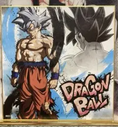 【激レア】ドラゴンボール超　孫悟空 身勝手の極意　ビジュアルアート色紙　鳥山明