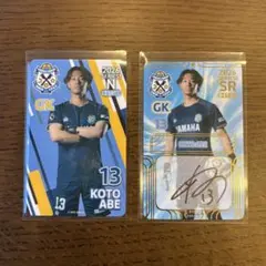 Item thumbnail for item b466676c-b646-4436-a601-06c118593c3b