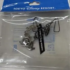 東京ディズニーリゾート ミッキー キーホルダー