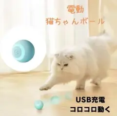 電動 猫おもちゃ USB充電 ストレス発散 自動回避 猫 ペット