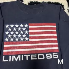 【古着】 USA国旗 ロゴ刺繍 トレーナー Ｍ