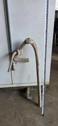 Item thumbnail for item cd5b1d26-a29d-4b31-803d-beade889b728