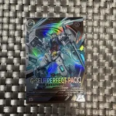 アーセナルベース　Gセルフ パーフェクトパック
