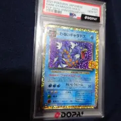 メガドリームex ボックス・わるいギャラドス・メガフシギバナバナexPSA10他 メガドリームex ボックス・わるいギャラドス・メガフシギバナバナ
