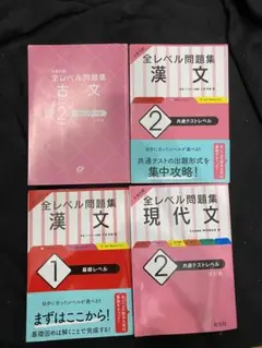 大学入試 全レベル問題集 漢文 現代文 古文