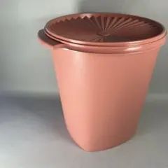 2025年最新】タッパーウェア マキシクイーンの人気アイテム - メルカリ