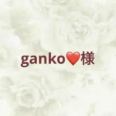 ganko❤️様 リクエスト 3点 まとめ商品