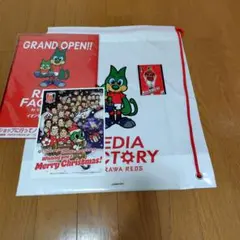 マリウス・ホイブラーテン　マッチデーカード