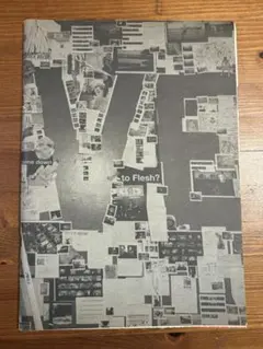 LOVELESS ラブレス 非売品表冊子 写真集 アートワーク集 - メルカリ