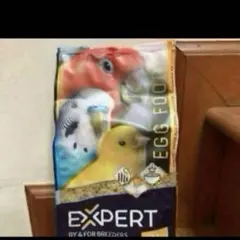 Item thumbnail for item d7f716f4-f77b-4f0f-810e-7894f3f8c3c0