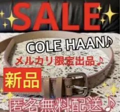 Item thumbnail for item 158415a0-14b2-4ee0-849a-613ad896f5f1