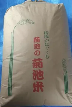 とし様専用
