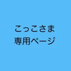 こっこさま専用　オーダー3点