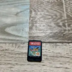 Nintendo Switch 釣りスピリッツ　カセット