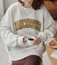 ヘヴィウェイトカレッジロゴビッグスウェット　discoat