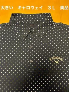 大きい　Callaway キャロウェイ　3L 美品のサムネイル