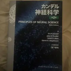 カンデル神経科学　2版　新品