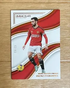ブルーノ フェルナンデス Panini Immaculate 80枚限定 ブルーノ フェルナンデス Panini Immaculate 80枚限定