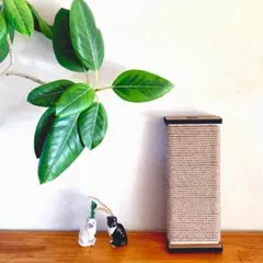 Item thumbnail for item f8c59667-1c95-4f9f-b500-6beed34736ba