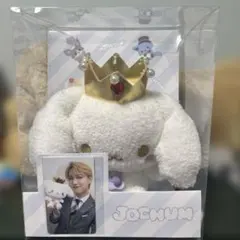 2025年最新】白岩瑠姫 ruru ぬいぐるみの人気アイテム - メルカリ