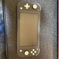 Nintendo Switch Lite グレー 本体