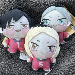 2025年最新】ハイキューちょぴぬいの人気アイテム - メルカリ