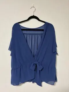 INDIVI ブルー 半袖 シフォン ブラウス 44サイズのサムネイル