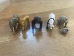 学研・動物図鑑・バスボムバスボール