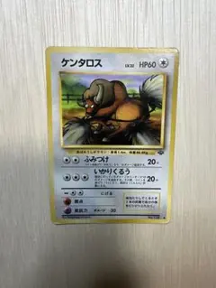旧裏　ケンタロス ◆ 第2弾拡張パック ポケモンジャングル