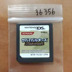 サバイバルキッズ 小さな島の大きな秘密!？